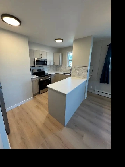 Pet Friendly 3 Bedroom in Riverview! Image# 9