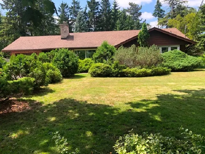 ONE BEDROOM  OFFICE  BASEMENT APARTMENT FOR RENT