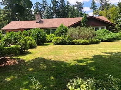 ONE BEDROOM  OFFICE  BASEMENT APARTMENT FOR RENT