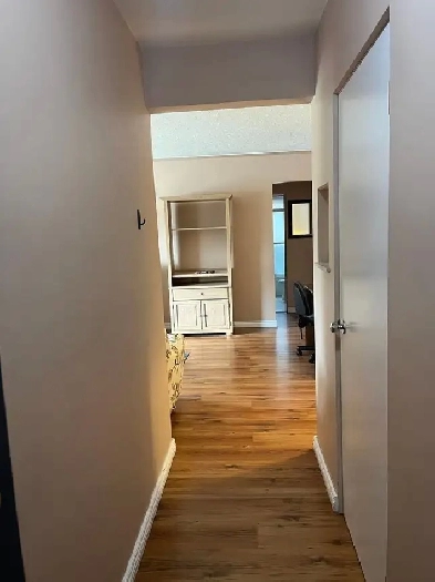 1 BEDROOM 1 BATHROOM APARTMENT DOWNTOWN Image# 1