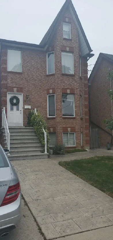 St Clair/Dufferin area BASEMENT FOR RENT Image# 1