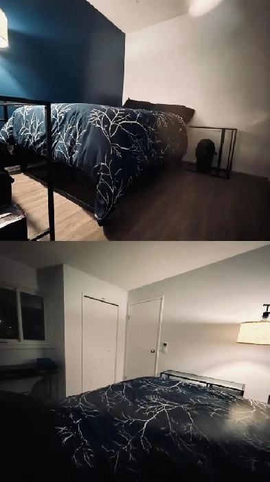 Private Furnished Bedroom in Beautiful NE Townhome Image# 1