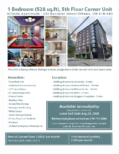 Amazing 1 Bedroom Apt, 5th Floor Corner Unit - Available Now! Image# 1