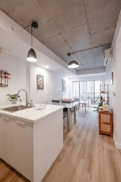 4 1/2  Internet inclus | Thermopompe | Toit-terrasse Image# 1