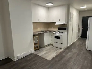 ✨ Fully Renovated 1-BR / 3 ½ Rénové – Steps from Metro Snowdon! Image# 1