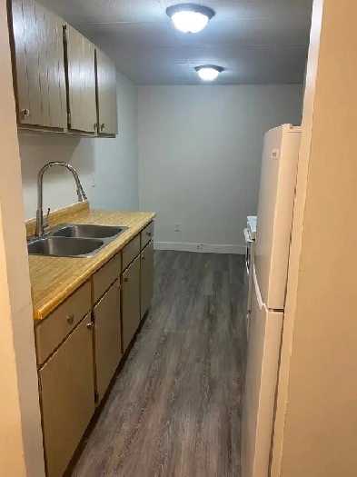 MAIN FLOOR – 1 BDRM – CAT FRIENDLY