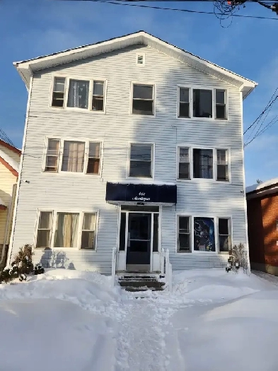 One bedroom apartment for rent March 1st