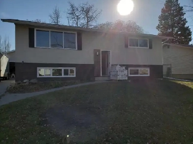 Basement suit for rent Image# 8