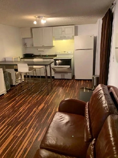Furnished WalkOut Basement Studio All Utilities Included