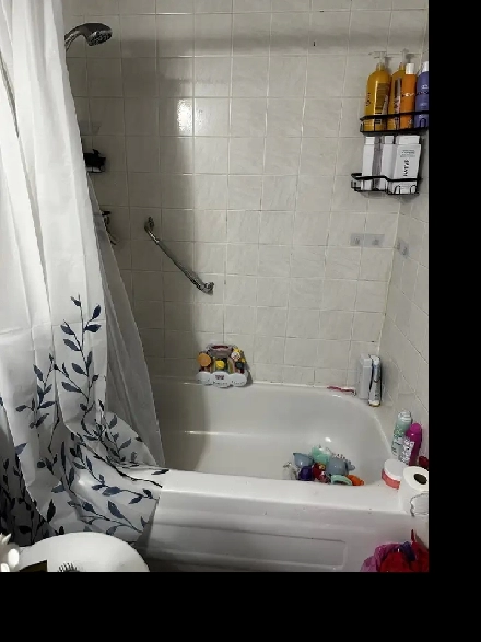 Renovated 3 bedroom bilevel $1400 immediate Image# 1