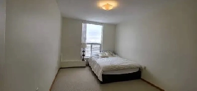 Two Rooms for Rent in Penthouse Image# 1