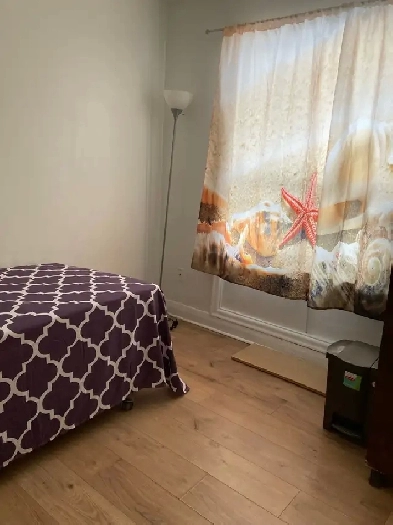 furnished room for female on main floor in Markham Image# 1
