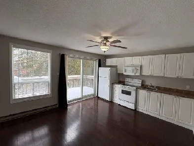 1 Bedroom Apartment/Coach House Image# 5