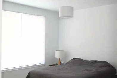 1er juillet près Cégeps Garneau, Ste-Foy et Université Laval Image# 1