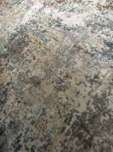 Room for rent in walk out basement in Malton Image# 1