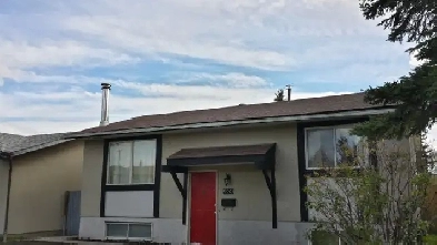 2 Bedroom Basement March 1st- PETS OK Image# 1