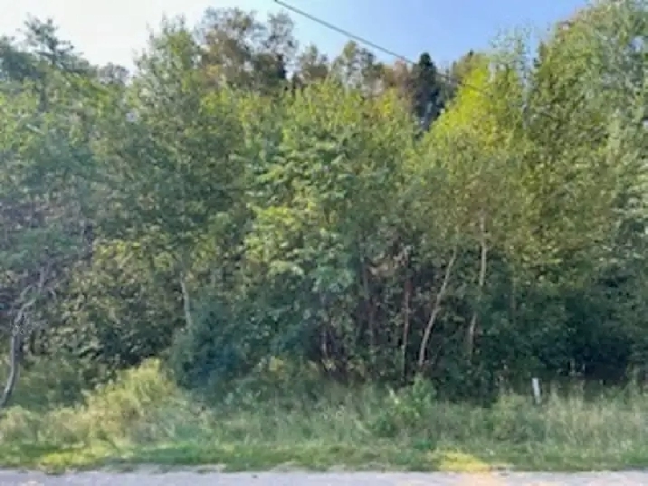 Land-142 Main St, Traytown