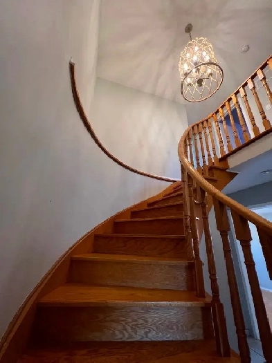 5 bedroom  house for rent Sheridan Clg Brampton - Ray Layson