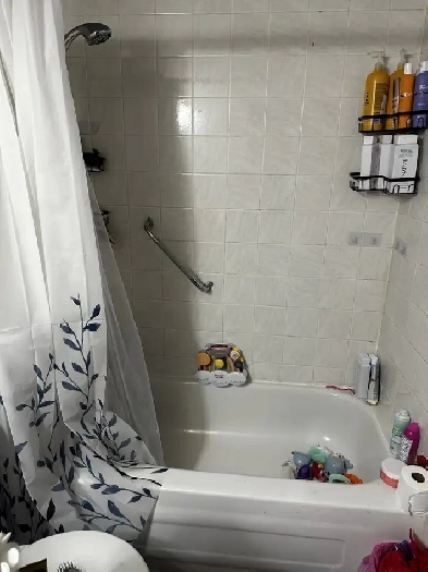 Renovated 3 bedroom bilevel $1400 immediate Image# 1