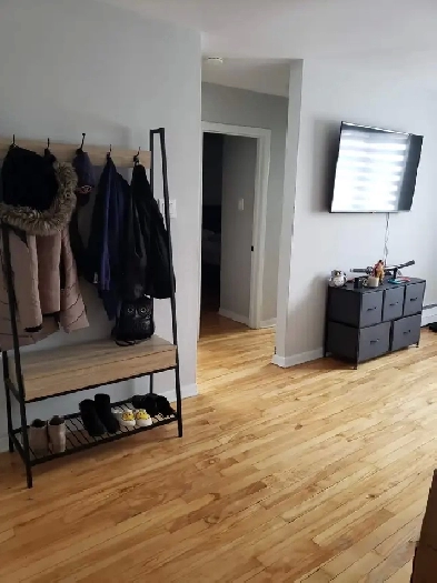 3 1/2 a louer boul st Joseh et boul St Michel Image# 1