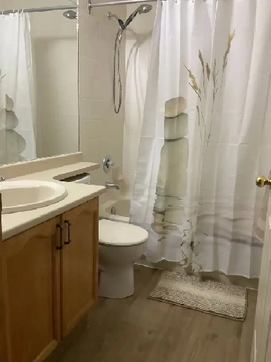 Furnished Bedroom with Own Bathroom in Sandstone NW Calgary Image# 1