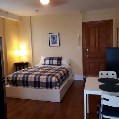 Studio meublé, tout inclus, Métro Sherbrooke Image# 1