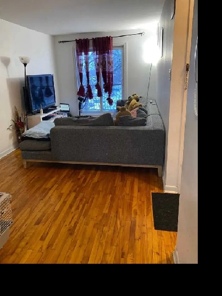 apparemment 4 1/2 a louer Image# 1