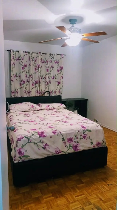 4 1/2 à Longueuil - 01 March 2026-1,395 $ Image# 1