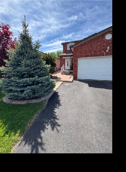 1 Br   Den - Apartment - So Low Price Image# 1