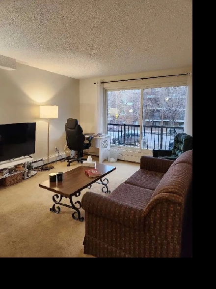 1 Bed 1 Bath in Sunalta SW Image# 4