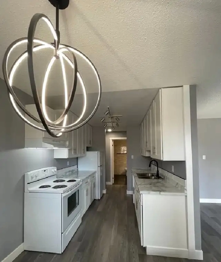 2 bedroom renovated suite in Vanderhoof