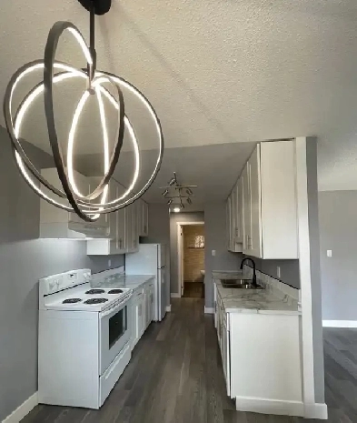 2 bedroom renovated suite in Vanderhoof