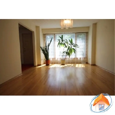 8 Bedroom house close to Carleton University, available May 1st Image# 6