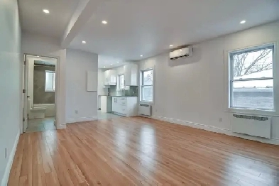 grand 3 1/2 à louer à Montréal Ahuntsic, renové Image# 1