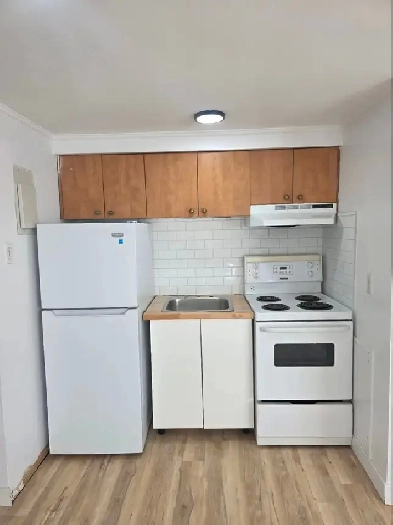 ENTIÈREMENT RÉNOVÉ Studio 2 1/2 à St-Bruno-de-Montarville Image# 1