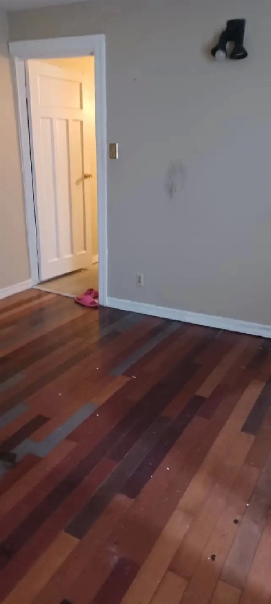 Centretown Apartment for Rent Image# 3