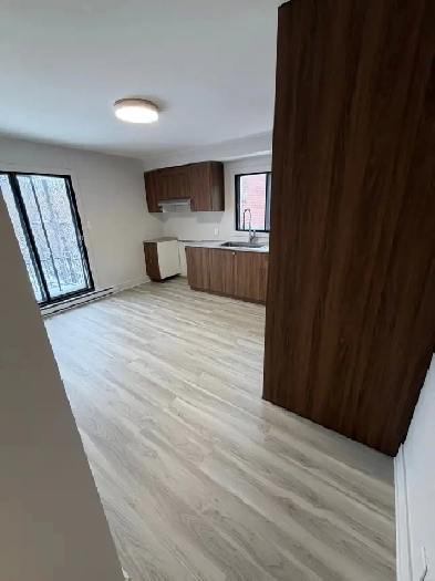 RENOVATED 4 1/2 AVAILABLE NOW! Image# 1