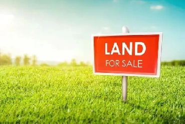 10 Van Riesen Drive Way, Niverville Image# 1