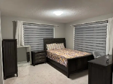 two rooms for rent in Milton (female only) Image# 1