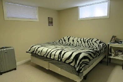 Lower level suite for rent Image# 1