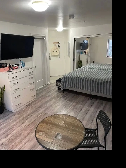 2 1/2 Rénové Meublé Metro Papineau Montréal Appartement Image# 1