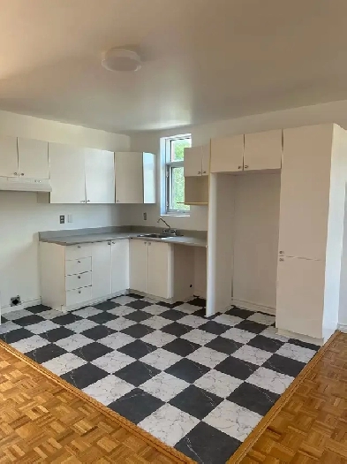 Grand 5 1/2 sud ouest Image# 5