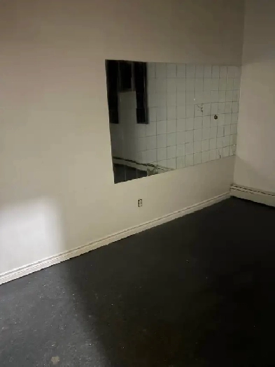 MAGOG: Lofts, 1 1/2, 2 1/2, 3 1/2 et 4 1/2 TOUT compris avec net Image# 1