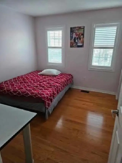 room for rent female March- Scarborough Image# 1