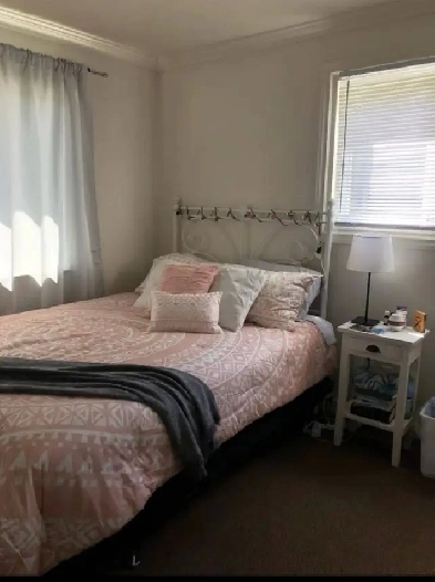 A step away from UNB and NBCC Image# 4