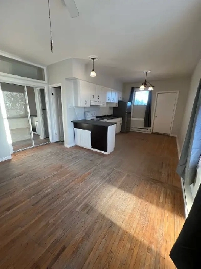 Downtown Windsor 1 Br Apt $1200 immediately Image# 1