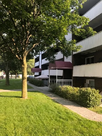 Très grand 5 1/2 Longueuil, rue Labelle (Juillet) Image# 1