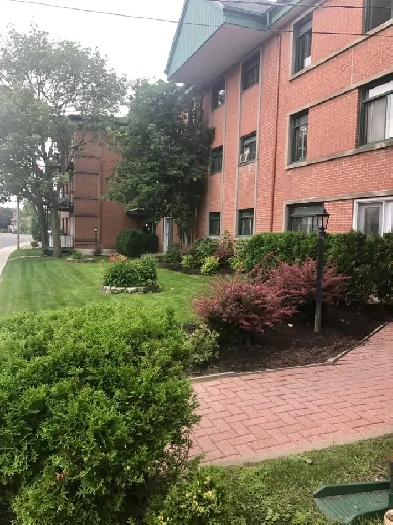 3 1/2 Vieux Longueuil, niveau du sol aucune marche, terrasse (MA Image# 1