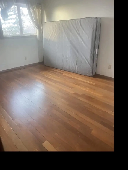 2nd Floor/5 Mins Walk to Whitehorn Ctrain/Near DT & Airport Image# 1