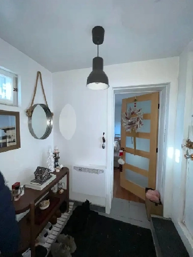 3 1/2 Rosemont / St. Leonard –  Duplex -  Renover a neuf Image# 1